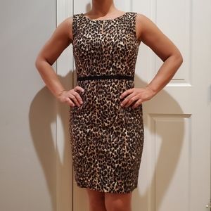 Ann Taylor Loft Leopard sleeveless dress